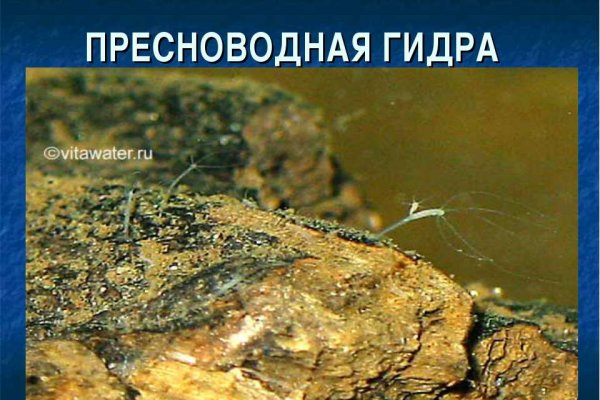 Список луковых tor сайтов