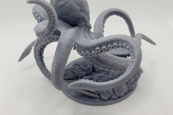 Kraken 19 at